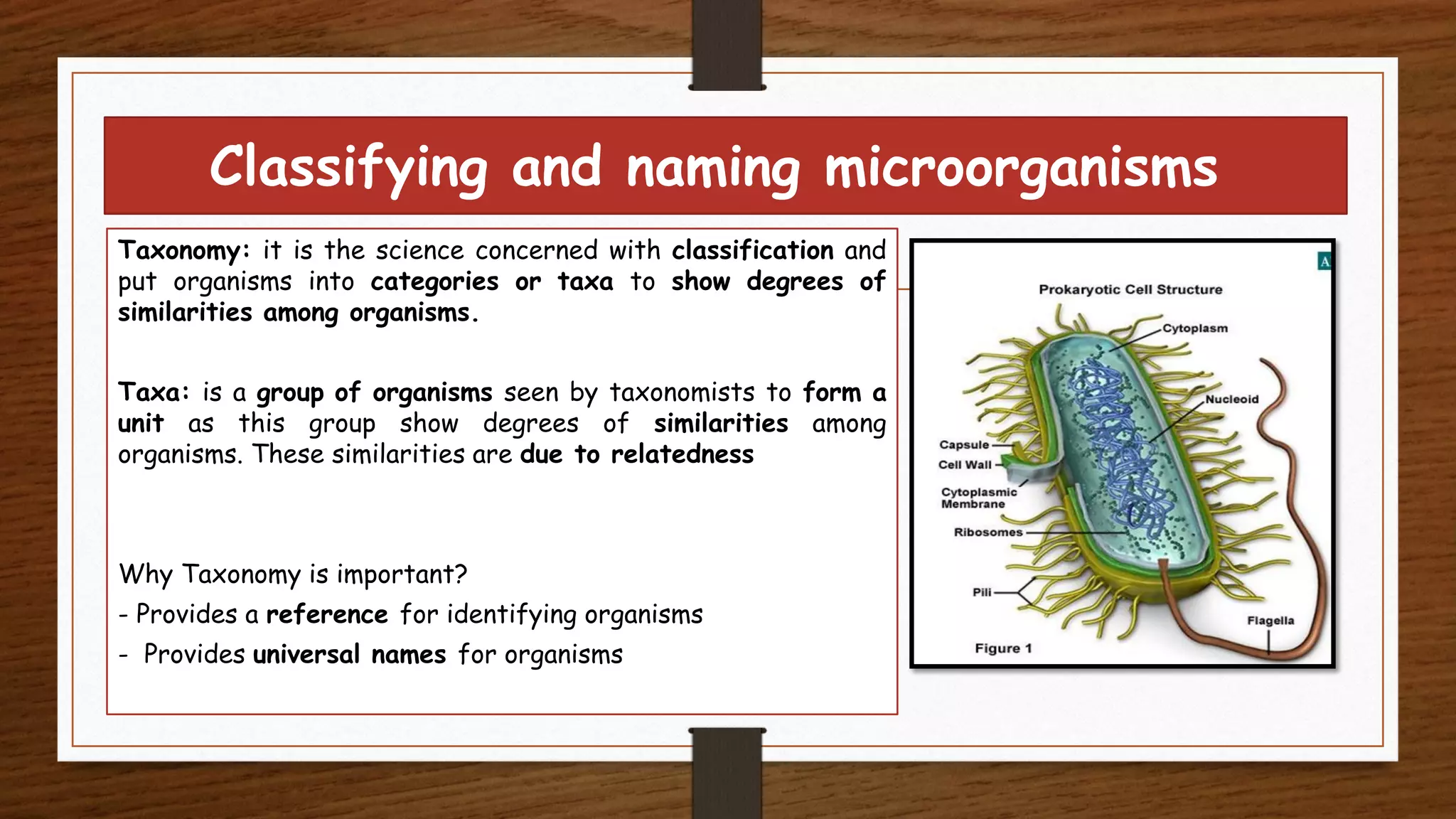 Classifying and naming microorganisms
Taxonomy: it is the science concerned with classification and
put organisms into categories or taxa to show degrees of
similarities among organisms.
Taxa: is a group of organisms seen by taxonomists to form a
unit as this group show degrees of similarities among
organisms. These similarities are due to relatedness
Why Taxonomy is important?
- Provides a reference for identifying organisms
- Provides universal names for organisms
 