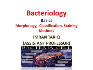 Bacteriology
Basics
Morphology, Classification, Staining
Methods
IMRAN TARIQ
(ASSISTANT PROFESSOR)
 