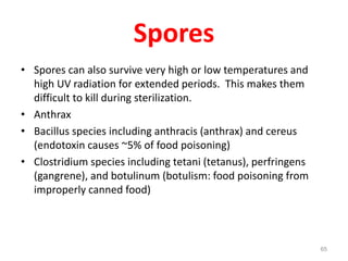 Spores
• Spores can also survive very high or low temperatures and
high UV radiation for extended periods. This makes them
difficult to kill during sterilization.
• Anthrax
• Bacillus species including anthracis (anthrax) and cereus
(endotoxin causes ~5% of food poisoning)
• Clostridium species including tetani (tetanus), perfringens
(gangrene), and botulinum (botulism: food poisoning from
improperly canned food)
65
 