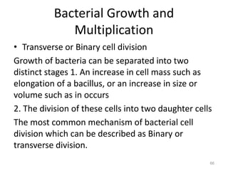 Bacterial Growth and
Multiplication
• Transverse or Binary cell division
Growth of bacteria can be separated into two
distinct stages 1. An increase in cell mass such as
elongation of a bacillus, or an increase in size or
volume such as in occurs
2. The division of these cells into two daughter cells
The most common mechanism of bacterial cell
division which can be described as Binary or
transverse division.
66
 