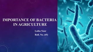 Laiba Noor
Roll. No. (45)
IMPORTANCE OF BACTERIA
IN AGRICULTURE
 