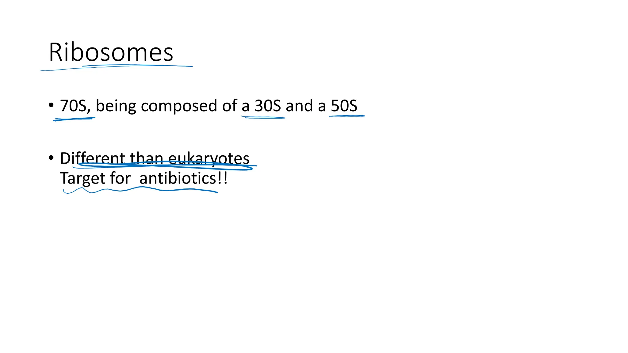 Ribosomes
• 70S, being composed of a 30S and a 50S
• Different than eukaryotes
Target for antibiotics!!
 
