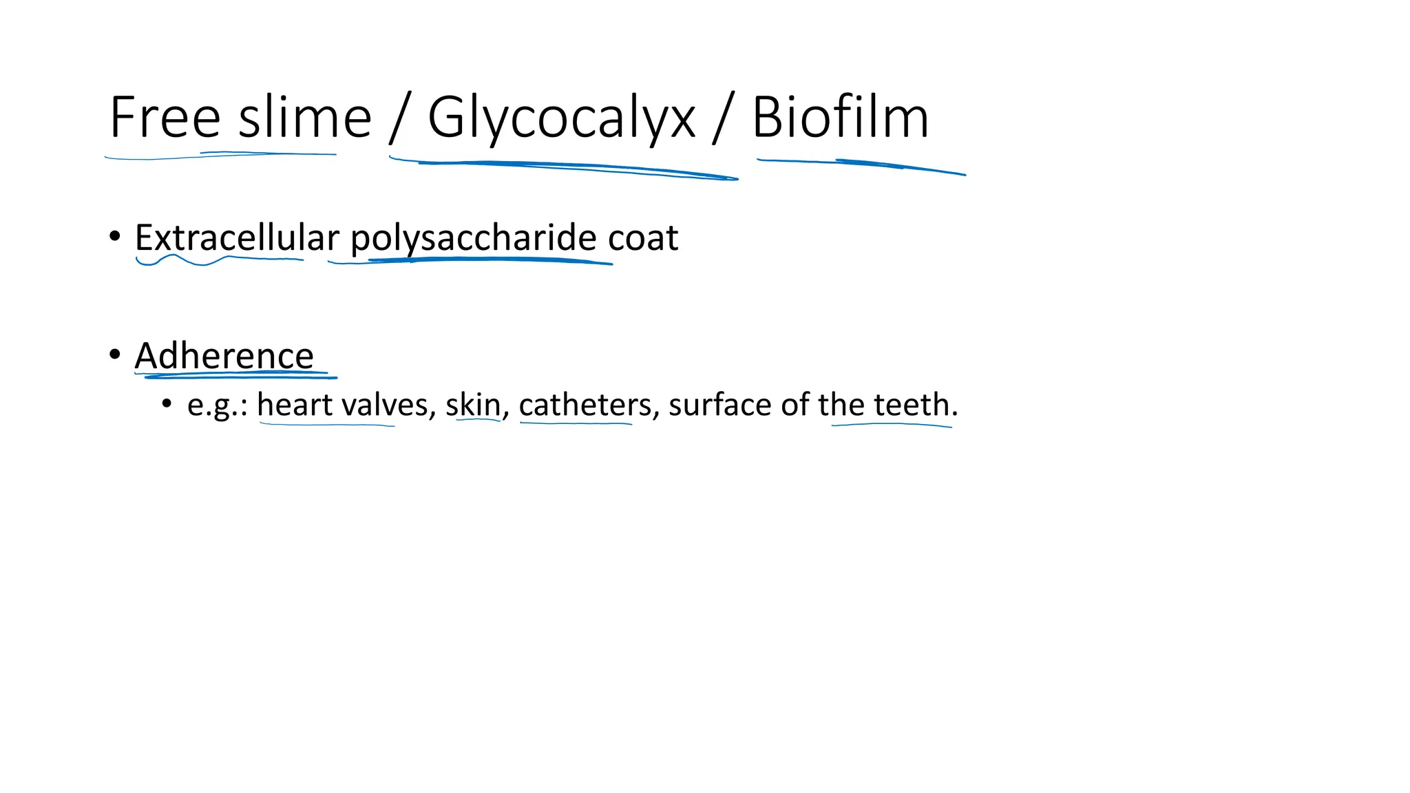 Free slime / Glycocalyx / Biofilm
• Extracellular polysaccharide coat
• Adherence
• e.g.: heart valves, skin, catheters, surface of the teeth.
 