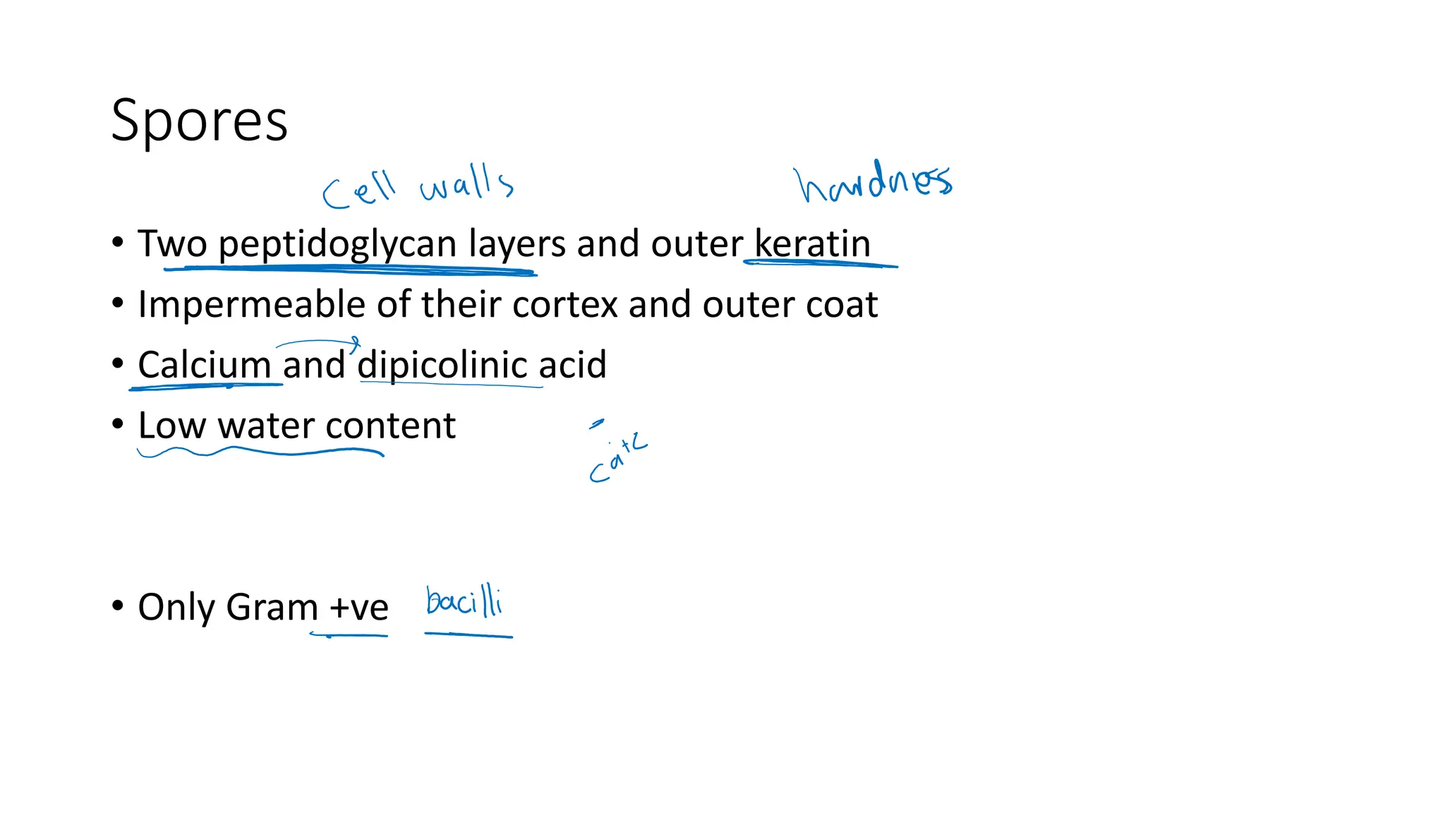 Spores
• Two peptidoglycan layers and outer keratin
• Impermeable of their cortex and outer coat
• Calcium and dipicolinic acid
• Low water content
• Only Gram +ve
 