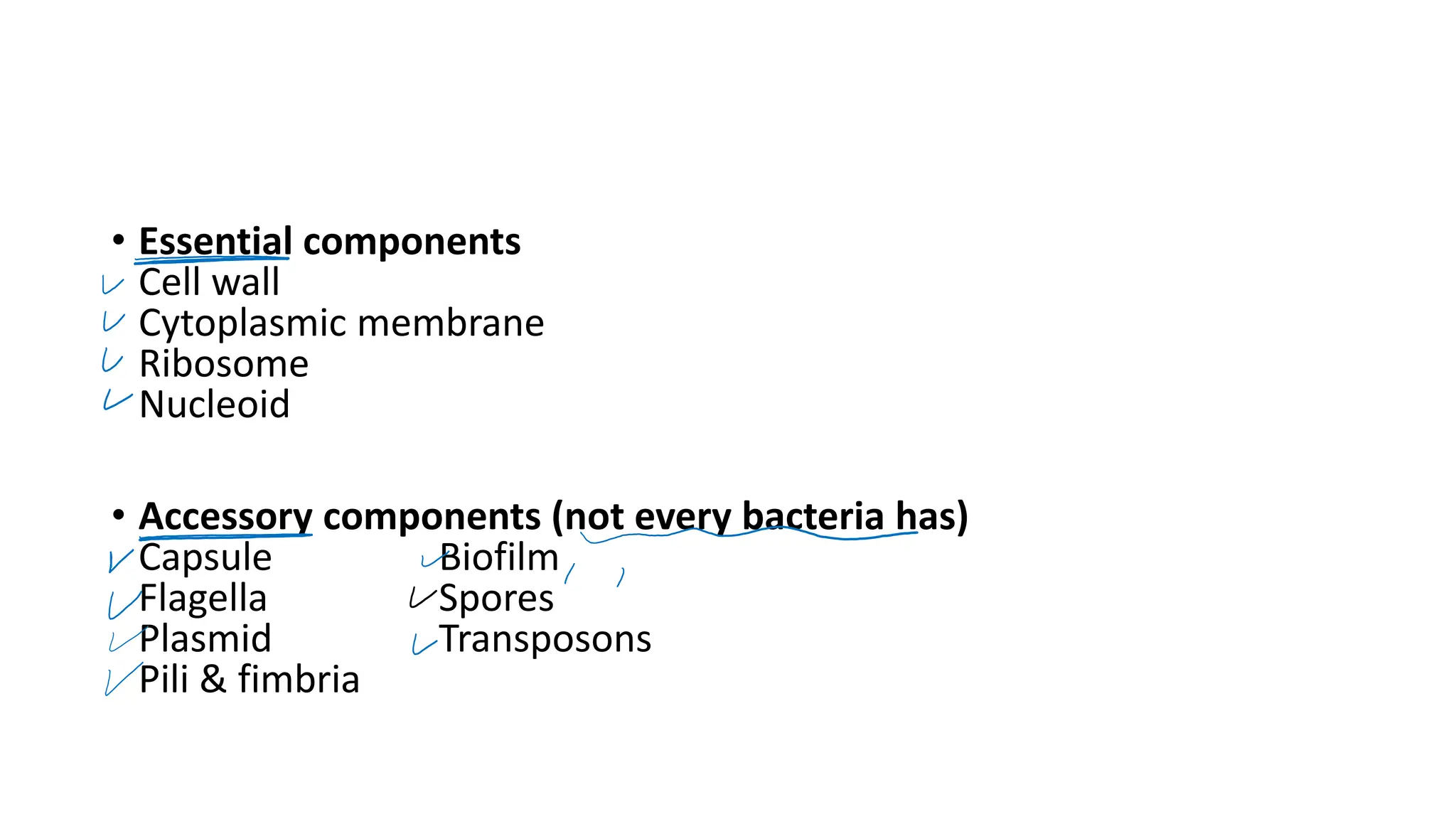 • Essential components
Cell wall
Cytoplasmic membrane
Ribosome
Nucleoid
• Accessory components (not every bacteria has)
Capsule Biofilm
Flagella Spores
Plasmid Transposons
Pili & fimbria
 