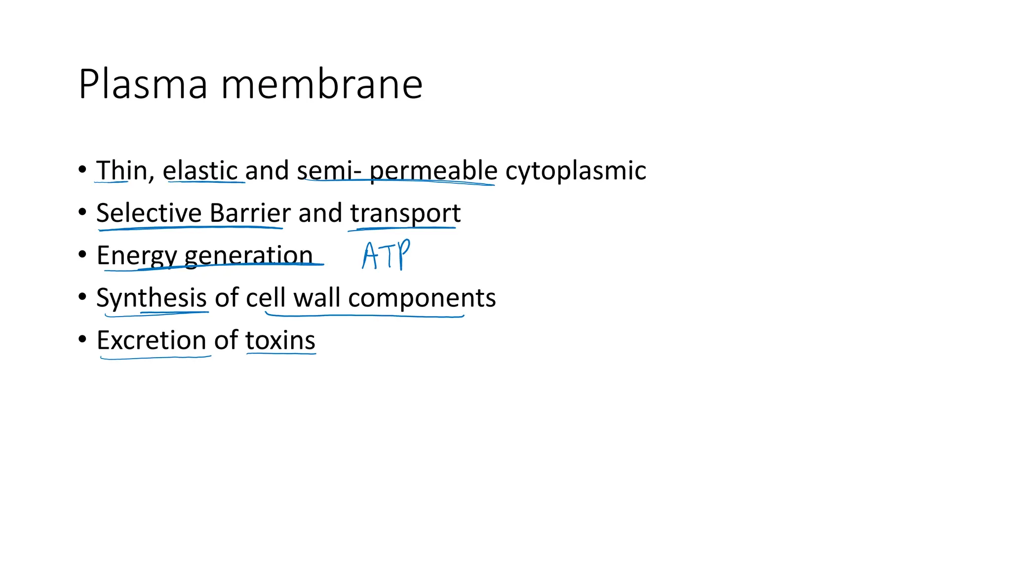 Plasma membrane
• Thin, elastic and semi- permeable cytoplasmic
• Selective Barrier and transport
• Energy generation
• Synthesis of cell wall components
• Excretion of toxins
 