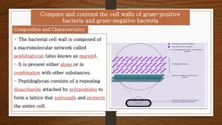 Bacteriology, Anatomy of Prokaryotic 2