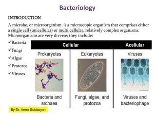 Bacteriology
INTRODUCTION
A microbe, or microorganism, is a microscopic organism that comprises either
a single cell (unicellular) or multi cellular, relatively complex organisms.
Microorganisms are very diverse; they include:
Bacteria
Fungi
Algae
Protozoa
Viruses
By Dr. Anna Sukiasyan
 