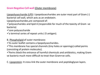 Gram Negative Cell wall (Outer membrane)
Lipopolysaccharide (LPS): Lipopolysaccharides are outer most part of Gram (-)
bacterial cell wall, which acts as an endotoxin.
Lipopolysaccharides,are composed of:
polysaccharides and lipid A (responsible for much of the toxicity of Gram -ve
bacteria)
core polysaccharide
a terminal series of repeat units ( O antigen).
B. Phospholipid of outer membrane:
Its outer leaflet contains a lipopolysaccharides.
This membrane has special channels (tiny holes or openings) called porins
(consisting of protein molecules).
Porins block the entrance of harmful chemicals and antibiotics, making Gram-
ve bacteria much more difficult to treat than Gram+ve cells.
C. Lipoprotein: It cross-link the outer membrane and peptidoglycan layers.
 