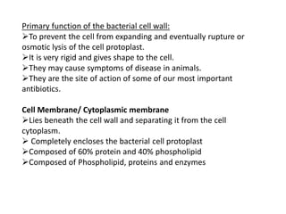 Primary function of the bacterial cell wall:
To prevent the cell from expanding and eventually rupture or
osmotic lysis of the cell protoplast.
It is very rigid and gives shape to the cell.
They may cause symptoms of disease in animals.
They are the site of action of some of our most important
antibiotics.
Cell Membrane/ Cytoplasmic membrane
Lies beneath the cell wall and separating it from the cell
cytoplasm.
 Completely encloses the bacterial cell protoplast
Composed of 60% protein and 40% phospholipid
Composed of Phospholipid, proteins and enzymes
 