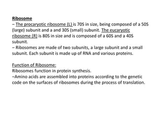 Ribosome
‒ The procaryotic ribosome (L) is 70S in size, being composed of a 50S
(large) subunit and a and 30S (small) subunit. The eucaryotic
ribosome (R) is 80S in size and is composed of a 60S and a 40S
subunit.
‒ Ribosomes are made of two subunits, a large subunit and a small
subunit. Each subunit is made up of RNA and various proteins.
Function of Ribosome:
Ribosomes function in protein synthesis.
‒Amino acids are assembled into proteins according to the genetic
code on the surfaces of ribosomes during the process of translation.
 