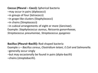 Coccus (Pleural – Cocci): Spherical bacteria
‒may occur in pairs (diplococci)
‒in groups of four (tetracocci)
‒in grape-like clusters (Staphylococci)
‒in chains (Streptococci)
‒in cubical arrangements of eight or more (Sarcinae).
Example: Staphylococcus aureus, Neisseria gonorrhoeae,
Streptococcus pneumoniae, Streptococcus pyogenes
Bacillus (Pleural–Bacilli): Rod-shaped bacteria
Example s – Bacillus cereus, Clostridium tetani, E.Coli and Salmonella.
‒generally occur singly
‒but may occasionally be found in pairs (diplo-bacilli)
‒chains (streptobacilli).
 