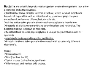 Bacteria are unicellular prokaryotic organism where the organisms lack a few
organelles and a true nucleus.
Bacterial cell have simpler internal structure, which lacks all membrane
bound cell organelles such as mitochondria, lysosome, golgi complex,
endoplasmic reticulum, chloroplast, vacuole etc.
All the action takes place in the cytosol or cytoplasmic membrane
Bacteria also lacks true membrane bound nucleus and nucleolus. The
bacterial nucleus is known as nucleoid.
Most bacteria possess peptidoglycan, a unique polymer that makes its
synthesis
‒peptidoglycan is a good target for antibiotics.
Protein synthesis takes place in the cytosol with structurally different
ribosome’s.
Shape
Coccus (cocci)
Rod (bacillus, bacilli)
Spiral shapes (spirochetes; spirillum)
Filamentous and various odd shapes.
 