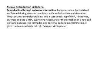 Asexual Reproduction in Bacteria.
Reproduction through endospore formation. Endospores in a bacterial cell
are formed during stressful conditions such as desiccation and starvation.
They contain a central protoplast, and a core consisting of DNA, ribosomes,
enzymes and the t-RNA, everything necessary for the formation of a new cell.
Only one endospore is formed in one bacterial cell and on germination, it
gives rise to a new bacterial cell. Example: Azotobacter.
 