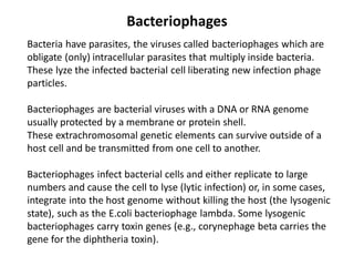 Bacteriophages
Bacteria have parasites, the viruses called bacteriophages which are
obligate (only) intracellular parasites that multiply inside bacteria.
These lyze the infected bacterial cell liberating new infection phage
particles.
Bacteriophages are bacterial viruses with a DNA or RNA genome
usually protected by a membrane or protein shell.
These extrachromosomal genetic elements can survive outside of a
host cell and be transmitted from one cell to another.
Bacteriophages infect bacterial cells and either replicate to large
numbers and cause the cell to lyse (lytic infection) or, in some cases,
integrate into the host genome without killing the host (the lysogenic
state), such as the E.coli bacteriophage lambda. Some lysogenic
bacteriophages carry toxin genes (e.g., corynephage beta carries the
gene for the diphtheria toxin).
 