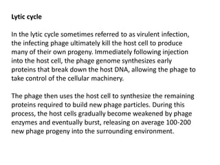 Lytic cycle
In the lytic cycle sometimes referred to as virulent infection,
the infecting phage ultimately kill the host cell to produce
many of their own progeny. Immediately following injection
into the host cell, the phage genome synthesizes early
proteins that break down the host DNA, allowing the phage to
take control of the cellular machinery.
The phage then uses the host cell to synthesize the remaining
proteins required to build new phage particles. During this
process, the host cells gradually become weakened by phage
enzymes and eventually burst, releasing on average 100-200
new phage progeny into the surrounding environment.
 