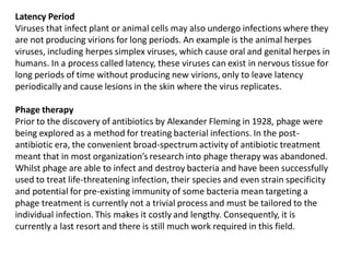 Latency Period
Viruses that infect plant or animal cells may also undergo infections where they
are not producing virions for long periods. An example is the animal herpes
viruses, including herpes simplex viruses, which cause oral and genital herpes in
humans. In a process called latency, these viruses can exist in nervous tissue for
long periods of time without producing new virions, only to leave latency
periodically and cause lesions in the skin where the virus replicates.
Phage therapy
Prior to the discovery of antibiotics by Alexander Fleming in 1928, phage were
being explored as a method for treating bacterial infections. In the post-
antibiotic era, the convenient broad-spectrum activity of antibiotic treatment
meant that in most organization’s research into phage therapy was abandoned.
Whilst phage are able to infect and destroy bacteria and have been successfully
used to treat life-threatening infection, their species and even strain specificity
and potential for pre-existing immunity of some bacteria mean targeting a
phage treatment is currently not a trivial process and must be tailored to the
individual infection. This makes it costly and lengthy. Consequently, it is
currently a last resort and there is still much work required in this field.
 