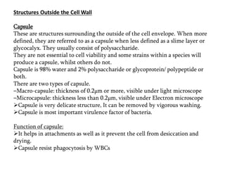Structures Outside the Cell Wall
Capsule
These are structures surrounding the outside of the cell envelope. When more
defined, they are referred to as a capsule when less defined as a slime layer or
glycocalyx. They usually consist of polysaccharide.
They are not essential to cell viability and some strains within a species will
produce a capsule, whilst others do not.
Capsule is 98% water and 2% polysaccharide or glycoprotein/ polypeptide or
both.
There are two types of capsule.
‒Macro-capsule: thickness of 0.2µm or more, visible under light microscope
‒Microcapsule: thickness less than 0.2µm, visible under Electron microscope
Capsule is very delicate structure, It can be removed by vigorous washing.
Capsule is most important virulence factor of bacteria.
Function of capsule:
It helps in attachments as well as it prevent the cell from desiccation and
drying.
Capsule resist phagocytosis by WBCs
 