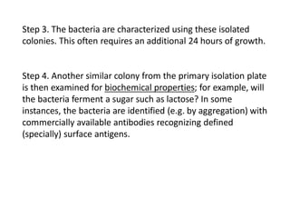 Step 3. The bacteria are characterized using these isolated
colonies. This often requires an additional 24 hours of growth.
Step 4. Another similar colony from the primary isolation plate
is then examined for biochemical properties; for example, will
the bacteria ferment a sugar such as lactose? In some
instances, the bacteria are identified (e.g. by aggregation) with
commercially available antibodies recognizing defined
(specially) surface antigens.
 