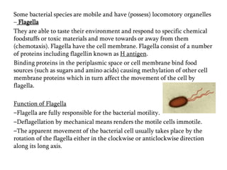 Some bacterial species are mobile and have (possess) locomotory organelles
– Flagella
They are able to taste their environment and respond to specific chemical
foodstuffs or toxic materials and move towards or away from them
(chemotaxis). Flagella have the cell membrane. Flagella consist of a number
of proteins including flagellin known as H antigen.
Binding proteins in the periplasmic space or cell membrane bind food
sources (such as sugars and amino acids) causing methylation of other cell
membrane proteins which in turn affect the movement of the cell by
flagella.
Function of Flagella
‒Flagella are fully responsible for the bacterial motility.
‒Deflagellation by mechanical means renders the motile cells immotile.
‒The apparent movement of the bacterial cell usually takes place by the
rotation of the flagella either in the clockwise or anticlockwise direction
along its long axis.
 