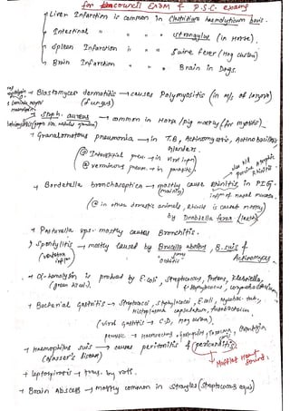Veterinary Bacteriology by sabal p.
