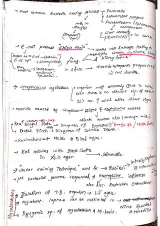 Veterinary Bacteriology by sabal p.