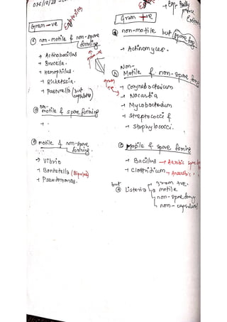 Veterinary Bacteriology by sabal p.