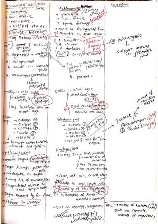 Veterinary Bacteriology by sabal p.