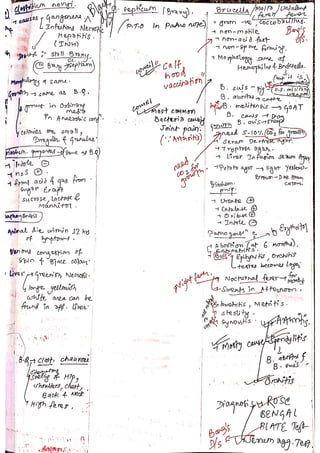Veterinary Bacteriology by sabal p.