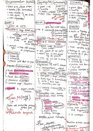 Veterinary Bacteriology by sabal p.