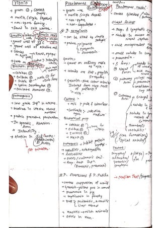 Veterinary Bacteriology by sabal p.