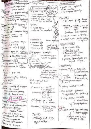 Veterinary Bacteriology by sabal p.