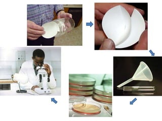 Bacteriological Sampling Collection Methods BACTERIOLOGY ANALYSIS OF WATER AND Water Sampling.pptx