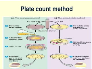 BACTERIOLOGY ANALYSIS OF WATER AND Water Sampling.pptx