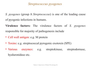 Bacteriology Gram positive cocci pptx.pptx