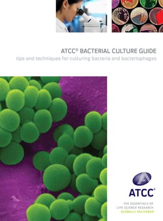 The Essentials of
Life Science Research
Globally Delivered™
ATCC®
Bacterial Culture Guide
tips and techniques for culturing bacteria and bacteriophages
 