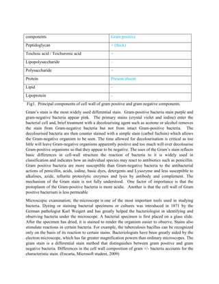 components

Gram positive

Peptidoglycan

+ (thick)

Teichoic acid / Teichuronic acid

+

Lipopolysaccharide

-

Polysaccharide

+

Protein

Present/absent

Lipid

-

Lipoprotein

-

Fig1. Principal components of cell wall of gram positive and gram negative components.
Gram’s stain is the most widely used differential stain. Gram-positive bacteria stain purple and
gram-negative bacteria appear pink. The primary stains (crystal violet and iodine) enter the
bacterial cell and, brief treatment with a decolourising agent such as acetone or alcohol removes
the stain from Gram-negative bacteria but not from intact Gram-positive bacteria. The
decolourised bacteria are then counter stained with a simple stain (carbol fuchsin) which allows
the Gram-negative organism to be seen. The time allowed for decolourisation is critical as too
little will leave Gram-negative organisms apparently positive and too much will over decolourise
Gram-positive organisms so that they appear to be negative. The uses of the Gram’s stain reflects
basic differences in cell-wall structure the reaction of bacteria to it is widely used in
classification and indicates how an individual species may react to antibiotics such as penicillin.
Gram positive bacteria are more susceptible than Gram-negative bacteria to the antibacterial
actions of penicillin, acids, iodine, basic dyes, detergents and Lysozyme and less susceptible to
alkalines, azide, tellurite proteolytic enzymes and lysis by antibody and complement. The
mechanism of the Gram stain is not fully understood. One factor of importance is that the
protoplasm of the Gram-positive bacteria is more acidic. Another is that the cell wall of Gram
positive bacterium is less permeable
Microscopic examination; the microscope is one of the most important tools used in studying
bacteria. Dyeing or staining bacterial specimens or cultures was introduced in 1871 by the
German pathologist Karl Weigert and has greatly helped the bacteriologist in identifying and
observing bacteria under the microscope. A bacterial specimen is first placed on a glass slide.
After the specimen has dried, it is stained to render the organism easier to observe. Stains also
stimulate reactions in certain bacteria. For example, the tuberculosis bacillus can be recognized
only on the basis of its reaction to certain stains. Bacteriologists have been greatly aided by the
electron microscope, which has far greater magnification powers than ordinary microscopes. The
gram stain is a differential stain method that distinguishes between gram positive and gram
negative bacteria. Differences in the cell wall composition of gram +/- bacteria accounts for the
characteristic stain. (Encarta, Microsoft student, 2009)

 