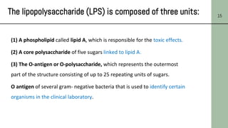 15
The lipopolysaccharide (LPS) is composed of three units:
(1) A phospholipid called lipid A, which is responsible for the toxic effects.
(2) A core polysaccharide of five sugars linked to lipid A.
(3) The O-antigen or O-polysaccharide, which represents the outermost
part of the structure consisting of up to 25 repeating units of sugars.
O antigen of several gram- negative bacteria that is used to identify certain
organisms in the clinical laboratory.
 