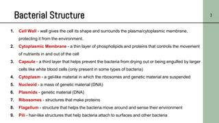 3
1. Cell Wall - wall gives the cell its shape and surrounds the plasma/cytoplasmic membrane,
protecting it from the environment.
2. Cytoplasmic Membrane - a thin layer of phospholipids and proteins that controls the movement
of nutrients in and out of the cell
3. Capsule - a third layer that helps prevent the bacteria from drying out or being engulfed by larger
cells like white blood cells (only present in some types of bacteria)
4. Cytoplasm - a gel-like material in which the ribosomes and genetic material are suspended
5. Nucleoid - a mass of genetic material (DNA)
6. Plasmids - genetic material (DNA)
7. Ribosomes - structures that make proteins
8. Flagellum - structure that helps the bacteria move around and sense their environment
9. Pili - hair-like structures that help bacteria attach to surfaces and other bacteria
Bacterial Structure
 