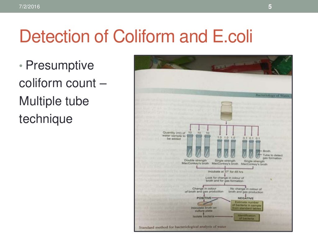 Bacteriology of water, milk and air