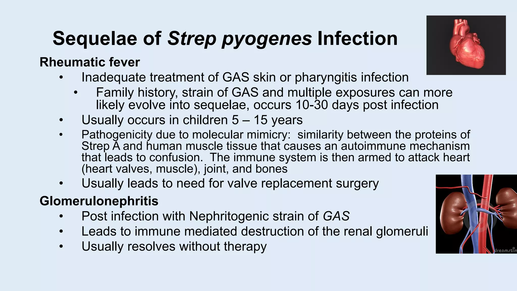 Sequelae of Strep pyogenes Infection
Rheumatic fever
• Inadequate treatment of GAS skin or pharyngitis infection
• Family history, strain of GAS and multiple exposures can more
likely evolve into sequelae, occurs 10-30 days post infection
• Usually occurs in children 5 – 15 years
• Pathogenicity due to molecular mimicry: similarity between the proteins of
Strep A and human muscle tissue that causes an autoimmune mechanism
that leads to confusion. The immune system is then armed to attack heart
(heart valves, muscle), joint, and bones
• Usually leads to need for valve replacement surgery
Glomerulonephritis
• Post infection with Nephritogenic strain of GAS
• Leads to immune mediated destruction of the renal glomeruli
• Usually resolves without therapy
 