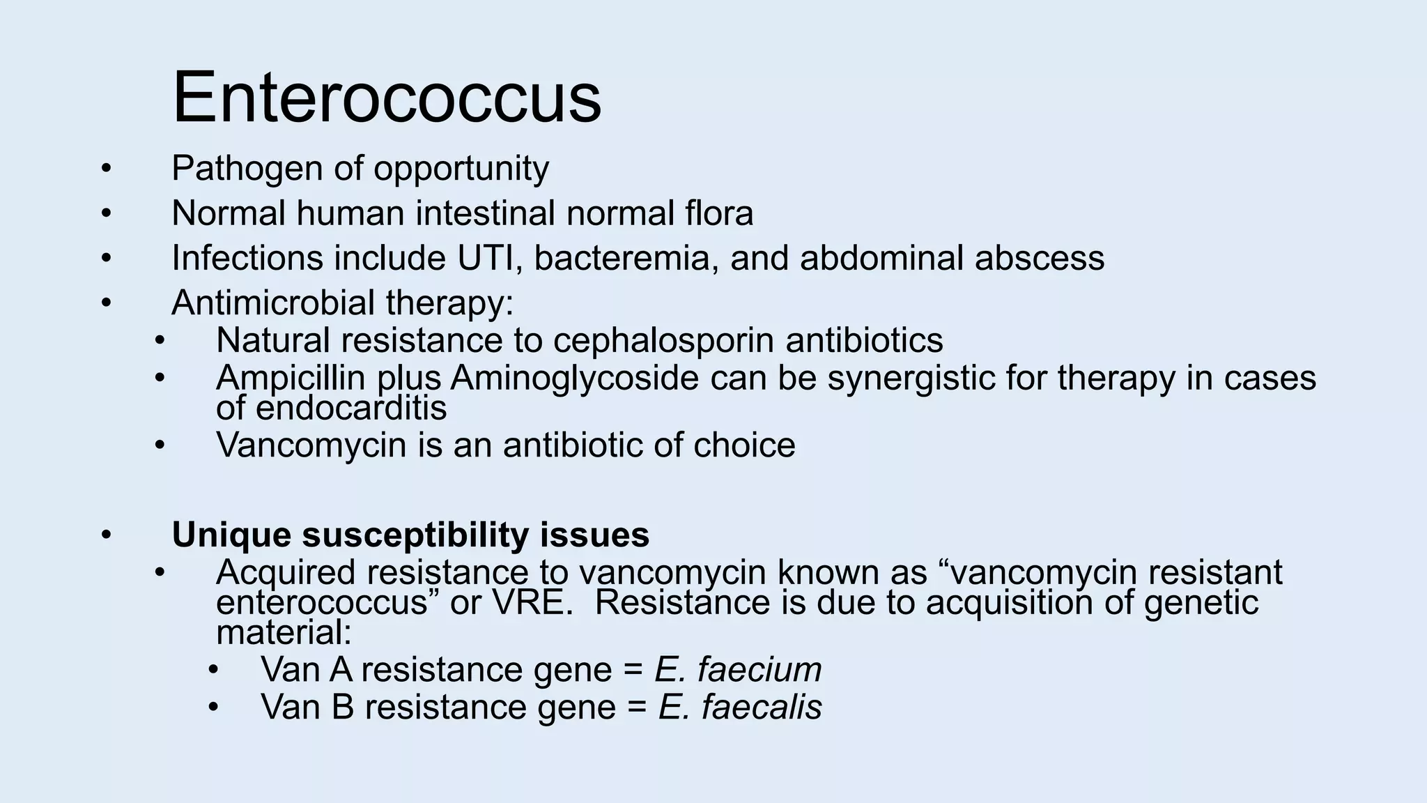 Enterococcus
• Pathogen of opportunity
• Normal human intestinal normal flora
• Infections include UTI, bacteremia, and abdominal abscess
• Antimicrobial therapy:
• Natural resistance to cephalosporin antibiotics
• Ampicillin plus Aminoglycoside can be synergistic for therapy in cases
of endocarditis
• Vancomycin is an antibiotic of choice
• Unique susceptibility issues
• Acquired resistance to vancomycin known as “vancomycin resistant
enterococcus” or VRE. Resistance is due to acquisition of genetic
material:
• Van A resistance gene = E. faecium
• Van B resistance gene = E. faecalis
 
