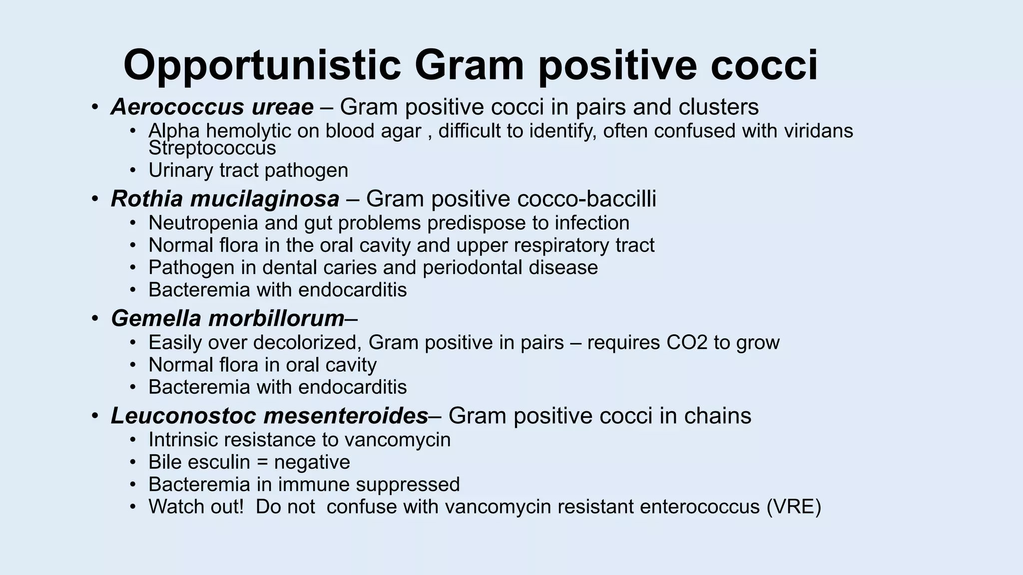 Opportunistic Gram positive cocci
• Aerococcus ureae – Gram positive cocci in pairs and clusters
• Alpha hemolytic on blood agar , difficult to identify, often confused with viridans
Streptococcus
• Urinary tract pathogen
• Rothia mucilaginosa – Gram positive cocco-baccilli
• Neutropenia and gut problems predispose to infection
• Normal flora in the oral cavity and upper respiratory tract
• Pathogen in dental caries and periodontal disease
• Bacteremia with endocarditis
• Gemella morbillorum–
• Easily over decolorized, Gram positive in pairs – requires CO2 to grow
• Normal flora in oral cavity
• Bacteremia with endocarditis
• Leuconostoc mesenteroides– Gram positive cocci in chains
• Intrinsic resistance to vancomycin
• Bile esculin = negative
• Bacteremia in immune suppressed
• Watch out! Do not confuse with vancomycin resistant enterococcus (VRE)
 