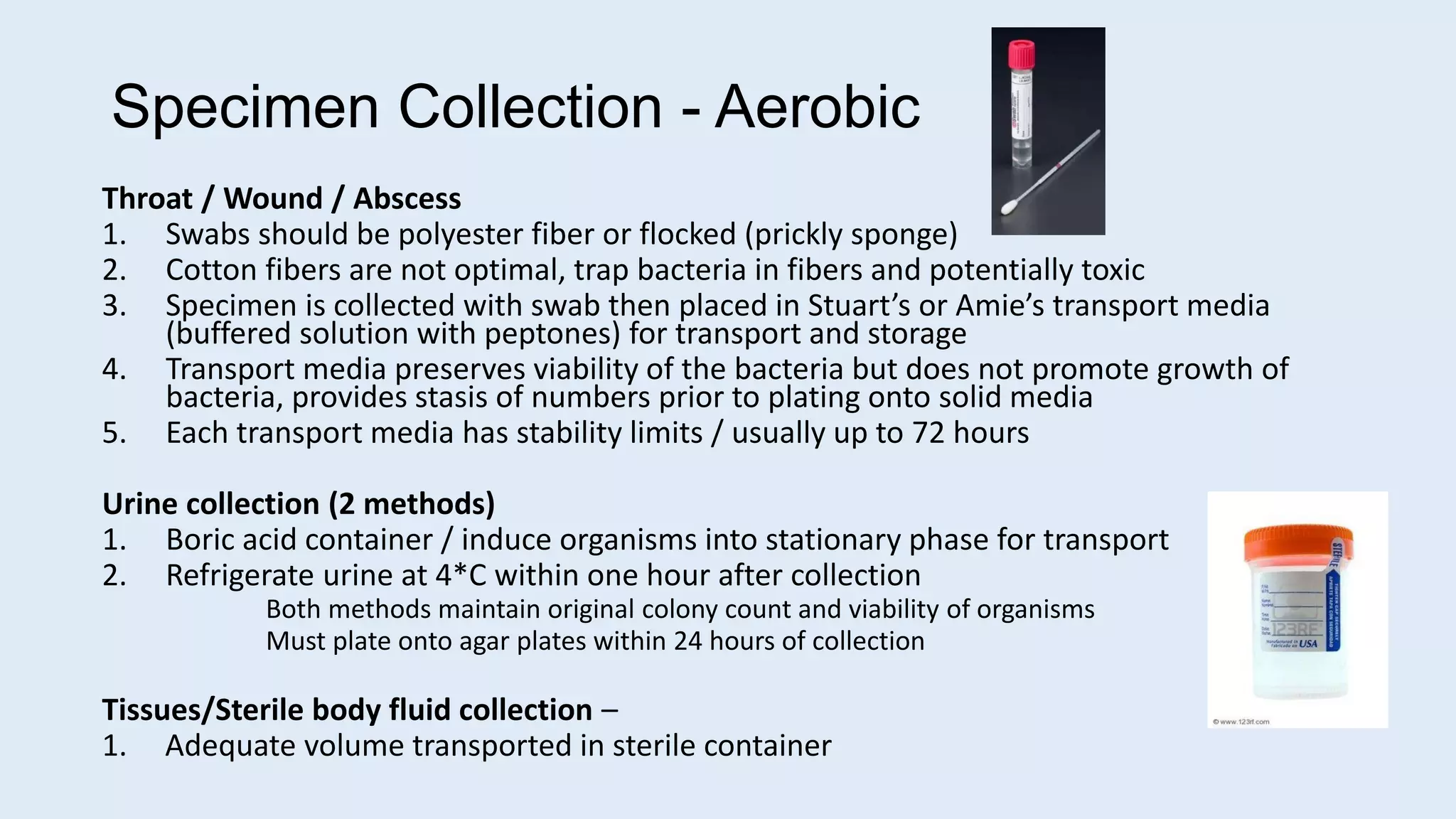 Specimen Collection - Aerobic
Throat / Wound / Abscess
1. Swabs should be polyester fiber or flocked (prickly sponge)
2. Cotton fibers are not optimal, trap bacteria in fibers and potentially toxic
3. Specimen is collected with swab then placed in Stuart’s or Amie’s transport media
(buffered solution with peptones) for transport and storage
4. Transport media preserves viability of the bacteria but does not promote growth of
bacteria, provides stasis of numbers prior to plating onto solid media
5. Each transport media has stability limits / usually up to 72 hours
Urine collection (2 methods)
1. Boric acid container / induce organisms into stationary phase for transport
2. Refrigerate urine at 4*C within one hour after collection
Both methods maintain original colony count and viability of organisms
Must plate onto agar plates within 24 hours of collection
Tissues/Sterile body fluid collection –
1. Adequate volume transported in sterile container
 