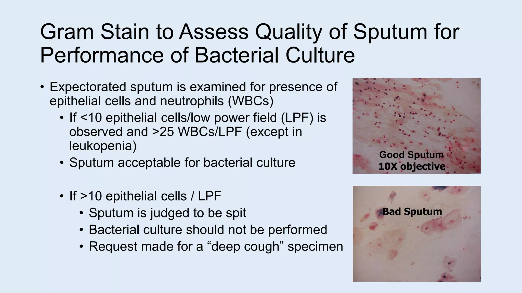 Gram Stain to Assess Quality of Sputum for
Performance of Bacterial Culture
• Expectorated sputum is examined for presence of
epithelial cells and neutrophils (WBCs)
• If <10 epithelial cells/low power field (LPF) is
observed and >25 WBCs/LPF (except in
leukopenia)
• Sputum acceptable for bacterial culture
• If >10 epithelial cells / LPF
• Sputum is judged to be spit
• Bacterial culture should not be performed
• Request made for a “deep cough” specimen
Bad Sputum
Good Sputum
10X objective
 