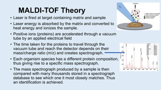 MALDI-TOF Theory
• Laser is fired at target containing matrix and sample
• Laser energy is absorbed by the matrix and converted to
heat energy and ionizes the sample.
• Positive ions (proteins) are accelerated through a vacuum
tube by an applied electrical field
• The time taken for the proteins to travel through the
vacuum tube and reach the detector depends on their
mass/charge ratio (m/z) and creates spectrograph.
• Each organism species has a different protein composition,
thus giving rise to a specific mass spectrograph.
• The mass spectrograph produced by a sample is then
compared with many thousands stored in a spectrograph
database to see which one it most closely matches. Thus
an identification is achieved.
 
