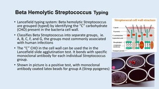 Beta Hemolytic Streptococcus Typing
• Lancefield typing system: Beta hemolytic Streptococcus
are grouped (typed) by identifying the “C” carbohydrate
(CHO) present in the bacteria cell wall.
• Classifies Beta Streptococcus into separate groups, ie.
A, B, C, F, and G, the groups most commonly associated
with human infections
• The “C” CHO in the cell wall can be used the in the
Lancefield slide agglutination test. It bonds with specific
monoclonal antibody for each individual Streptococcus
group.
• Shown in picture is a positive test, with monoclonal
antibody coated latex beads for group A (Strep pyogenes)
-
A
 