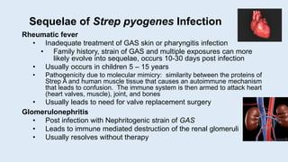 Sequelae of Strep pyogenes Infection
Rheumatic fever
• Inadequate treatment of GAS skin or pharyngitis infection
• Family history, strain of GAS and multiple exposures can more
likely evolve into sequelae, occurs 10-30 days post infection
• Usually occurs in children 5 – 15 years
• Pathogenicity due to molecular mimicry: similarity between the proteins of
Strep A and human muscle tissue that causes an autoimmune mechanism
that leads to confusion. The immune system is then armed to attack heart
(heart valves, muscle), joint, and bones
• Usually leads to need for valve replacement surgery
Glomerulonephritis
• Post infection with Nephritogenic strain of GAS
• Leads to immune mediated destruction of the renal glomeruli
• Usually resolves without therapy
 