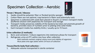 Specimen Collection - Aerobic
Throat / Wound / Abscess
1. Swabs should be polyester fiber or flocked (prickly sponge)
2. Cotton fibers are not optimal, trap bacteria in fibers and potentially toxic
3. Specimen is collected with swab then placed in Stuart’s or Amie’s transport media
(buffered solution with peptones) for transport and storage
4. Transport media preserves viability of the bacteria but does not promote growth of
bacteria, provides stasis of numbers prior to plating onto solid media
5. Each transport media has stability limits / usually up to 72 hours
Urine collection (2 methods)
1. Boric acid container / induce organisms into stationary phase for transport
2. Refrigerate urine at 4*C within one hour after collection
Both methods maintain original colony count and viability of organisms
Must plate onto agar plates within 24 hours of collection
Tissues/Sterile body fluid collection –
1. Adequate volume transported in sterile container
 