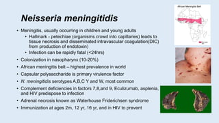 Neisseria meningitidis
• Meningitis, usually occurring in children and young adults
• Hallmark - petechiae (organisms crowd into capillaries) leads to
tissue necrosis and disseminated intravascular coagulation(DIC)
from production of endotoxin)
• Infection can be rapidly fatal (<24hrs)
• Colonization in nasopharynx (10-20%)
• African meningitis belt – highest prevalence in world
• Capsular polysaccharide is primary virulence factor
• N. meningitidis serotypes A,B,C Y and W, most common
• Complement deficiencies in factors 7,8,and 9, Eculizumab, asplenia,
and HIV predispose to infection
• Adrenal necrosis known as Waterhouse Friderichsen syndrome
• Immunization at ages 2m, 12 yr, 16 yr, and in HIV to prevent
 